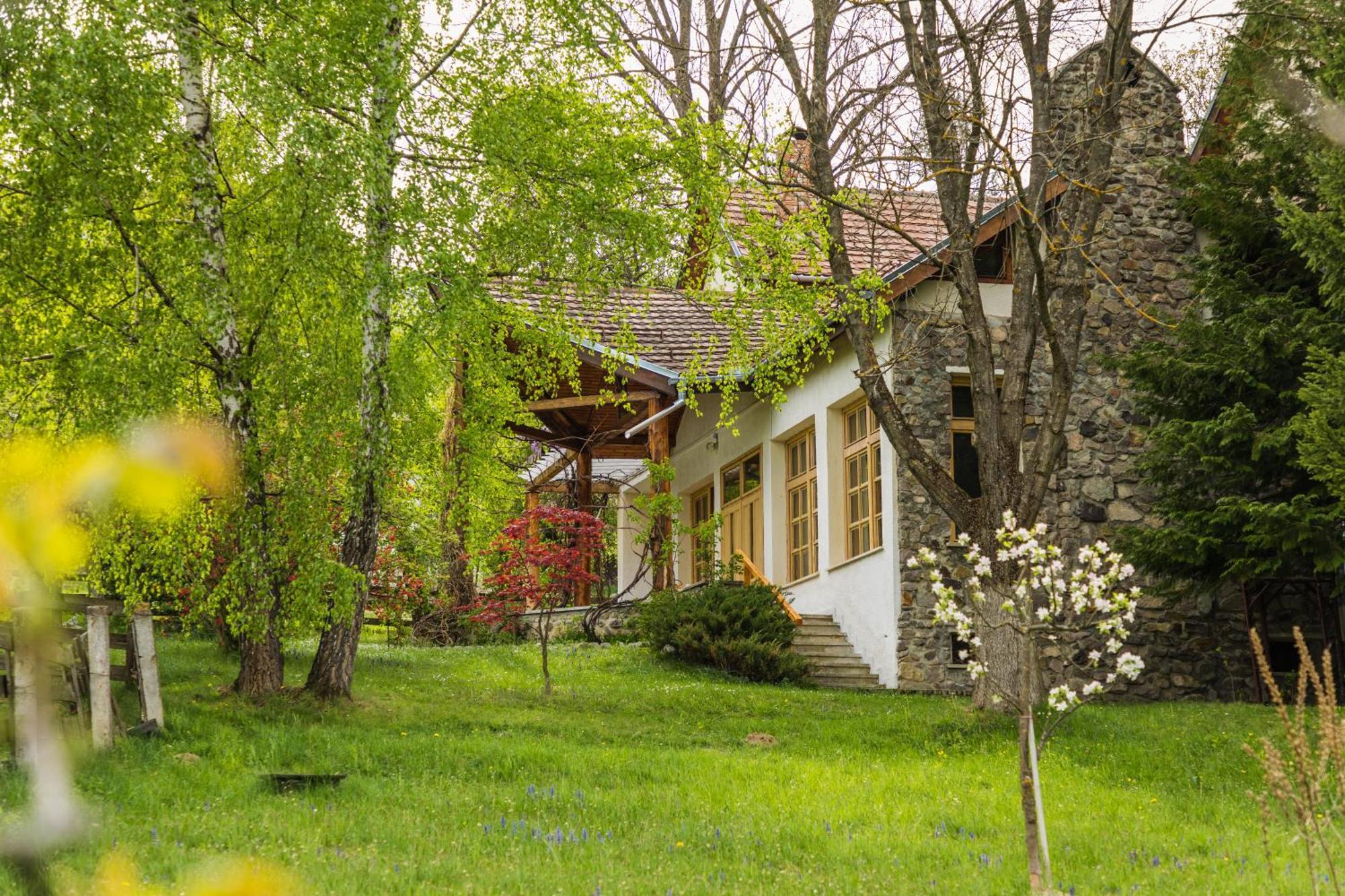Villa Alba By Akasha Retreat 布朗 外观 照片